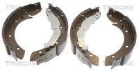 Triscan Bremsbackensatz Hinterachse U.A. FüR Peugeot, Renault