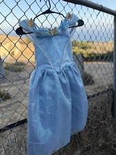 Vintage Cinderella Dressup Dress