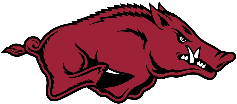 Arkansas Razorbacks Logo - Die Cut Laminated Vinyl Sticker/Decal NCAA