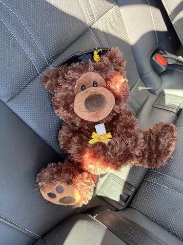 Cuddles Bear Graduate Stuffed Animal Plush, Brown color, Graduate Hat Diploma - Picture 8 of 10