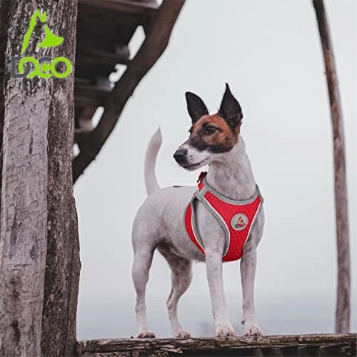 Dog Harness │ Athletica Puppy Harness for Small X Large (Chest: 20.5-22") Lime