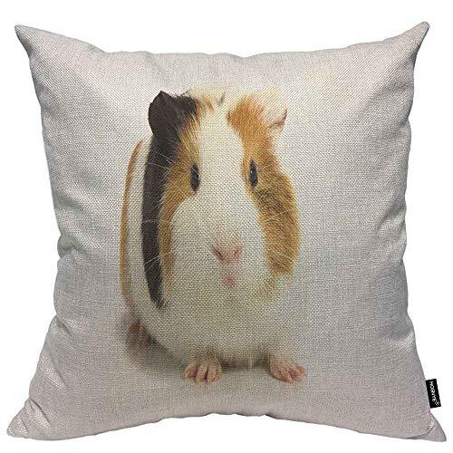 Guinea Pig Throw Pillow Cushion Cover Three Color Lovely 20" x 20" Multi02 - Bild 1 von 5
