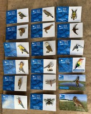 RSPB Pin Badge Collection. Set Of 18 Blue Back Carded. Mix. Golden Oriole