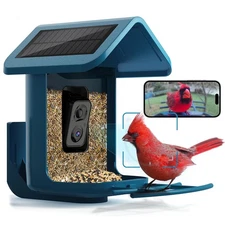 Smart Solar Bird Feeder with 2K Camera, AI Bird Identification, Live Feed