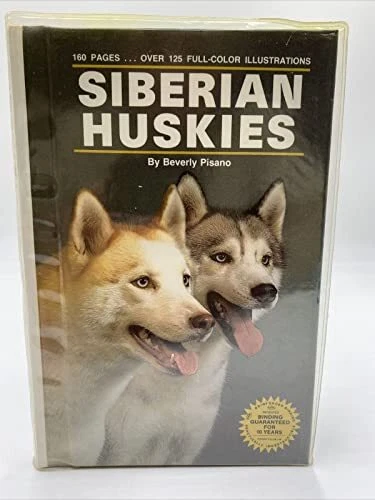 Cheap huskies 2025