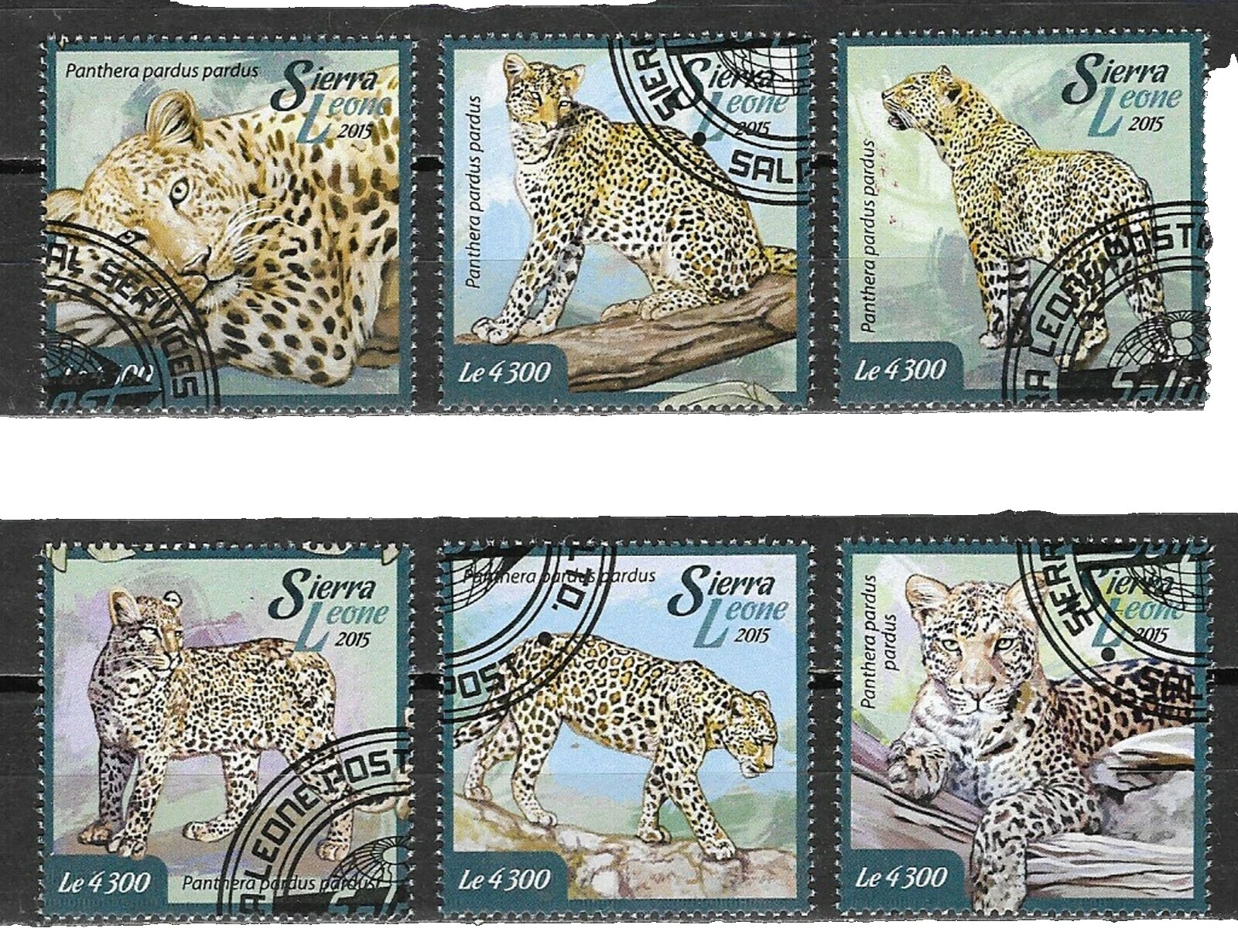 Superb Used Animal Kingdom Postal Stamps
