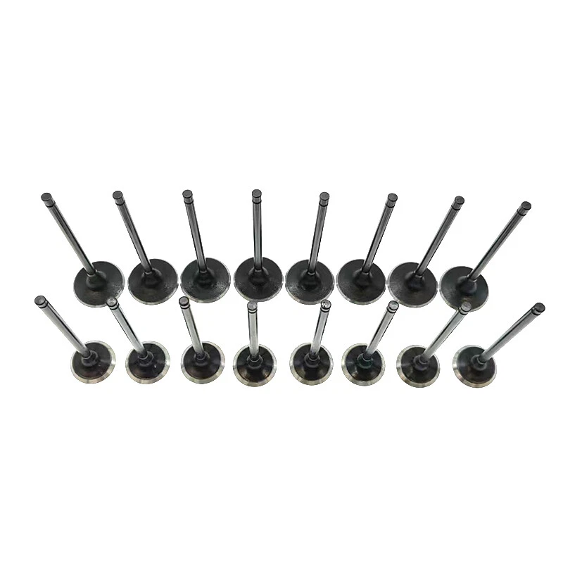 16PC Engine Intake Exhaust Valve For 2008-16 Hyundai Sonata Kia Optima 2.0L 2.4L Foto 4 de 4