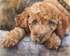 Poodle puppy with big bright eyes watercolor painting -- 8x10 Print