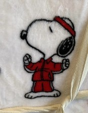 Peanuts Snoopy Woodstock Love Notes Fitness Twin Blanket 60x90 Berkshire
