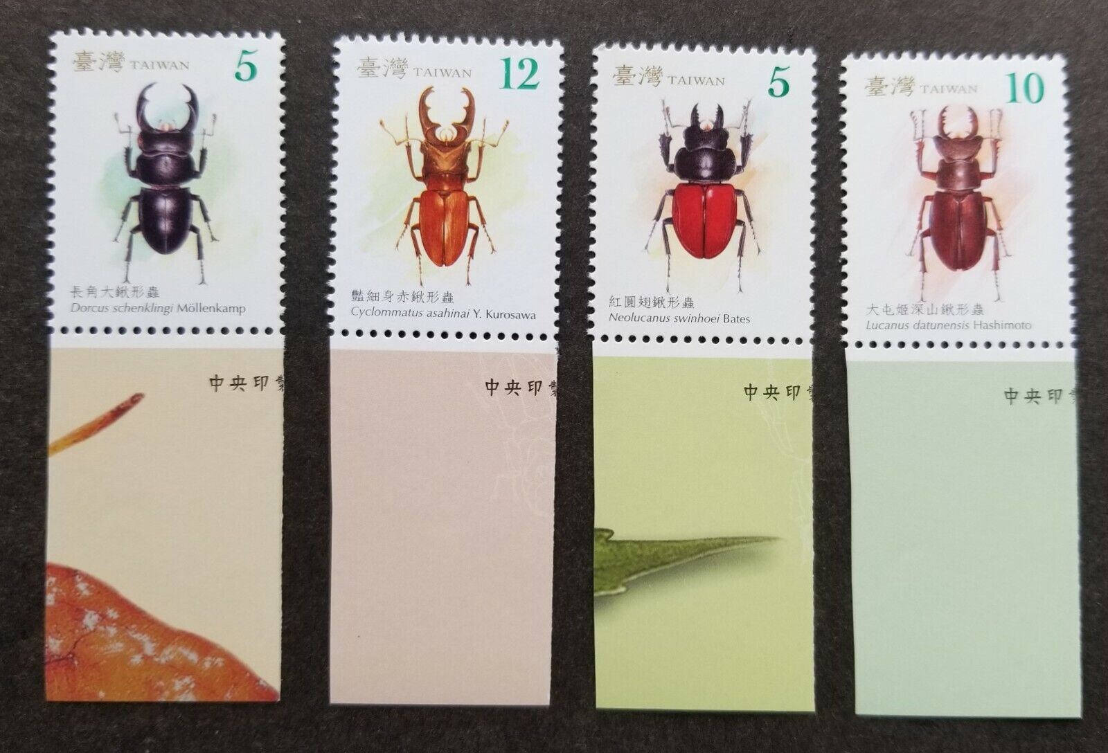*FREE SHIP Taiwan Stag Beetles 2008 Insect Beetle Bug (stamp margin) MNH