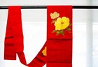 Foto 9 di 10