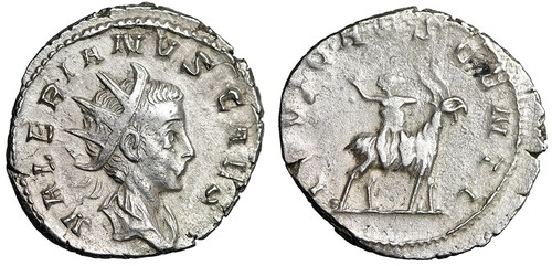 Valerian II as Caesar AR Antoninianus "Infant Jupiter on Goat" Good Very Fine - Picture 3 of 5