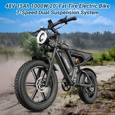 Hikeep 20'' Electric Bike 48V 15Ah Peak 1500W Mountain ebike for Adults Bicycle