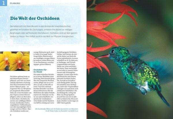 Thumbnail - Orchideen Pflegen