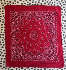 VTG Hav A Hank Red Paisley Bandana RN 15187 Cotton Made In China Western Rodeo