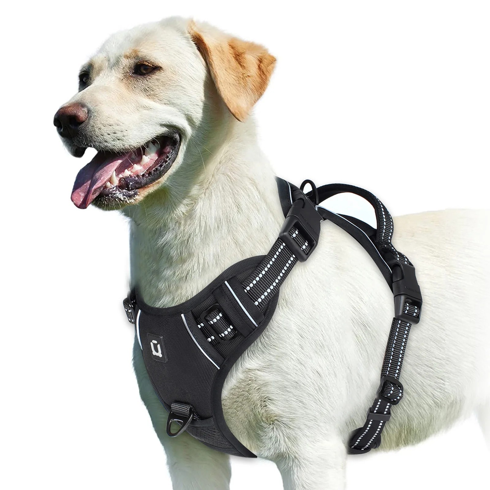 rabbitgoo Dog Harness with 2 Leash Clips No-Pull Reflective Vest for Large Dogs