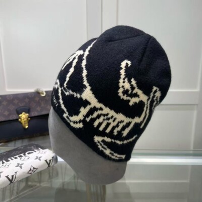 Free Tax) 100% Wool Arcteryx Bird Head Toque Beanie Hat Knitted