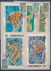 XE59665 Guernsey 1989 monkeys wildlife animals maxicards used