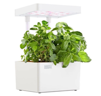 Back to the Roots Hydroponic Grow Kit, Indoor Garden with Light (Matte White),