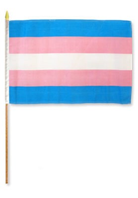 12x18 12"x18" Gay Pride Transgender Stick Flag wood staff 100D | eBay