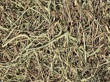 Fox Peak Timothy Hay Rabbits, guinea pigs, chinchilla, food free shipping 5+ lb.