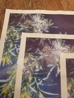 Foto 5 di 21