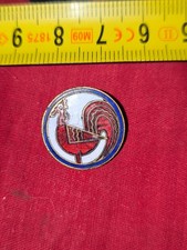 Insigne émaillé boutonnière compagnons de France 1940 drago paris nice 2 cm