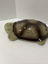 Turtle the  Cloud.be Night Time