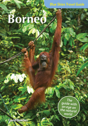 Thumbnail - Blue Skies Travel Guide: Borneo By Bowden, David