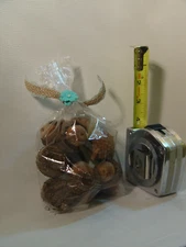 Cute Bag of Bur Oak Tree Acorns