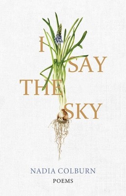 I SAY THE SKY by Nadia Colburn Paperback Self Help Business