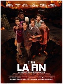 Cest la fin | DVD | Zustand sehr gut