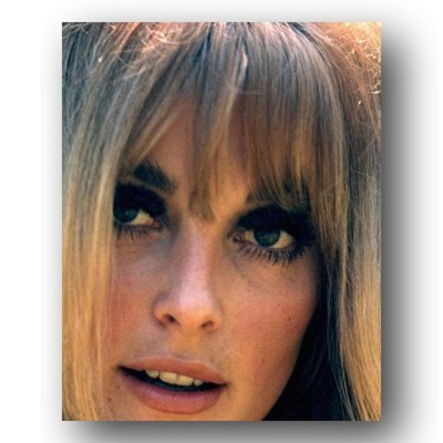 Sharon Tate Photo 8x10 Actress Model Close Up Portrait 1966 Color Image
