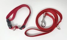 RC PET PRODUCTS Dog Leash 1" x 6 ft with Dog Collar RED