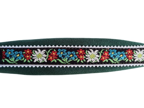 Armonica Stiria cinghia armonica per bambini Junior Edelweiss verde - Foto 5 di 11