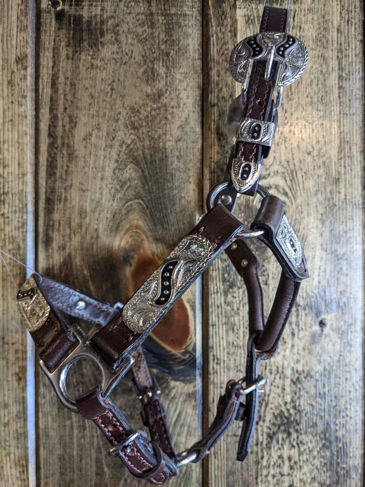 Halter de exhibición de caballos en miniatura - plateado con incrustación negra - vástago de plomo a juego Foto 3 de 4
