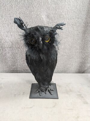 Cute Black Owl Foam Statue With Real Feather Look Home Decor 10'' Tall