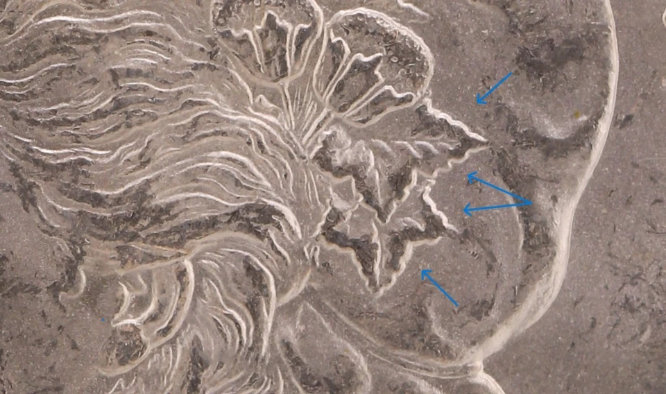 1888-P $1 PCGS MS 63 VAM-18 "Doubled Eyelid" (HOT 50 Coin) - Image 4 of 4