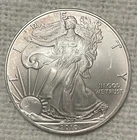 2010 American Silver Eagle $1 Coin Brilliant Uncirculated Beautiful Gem!
