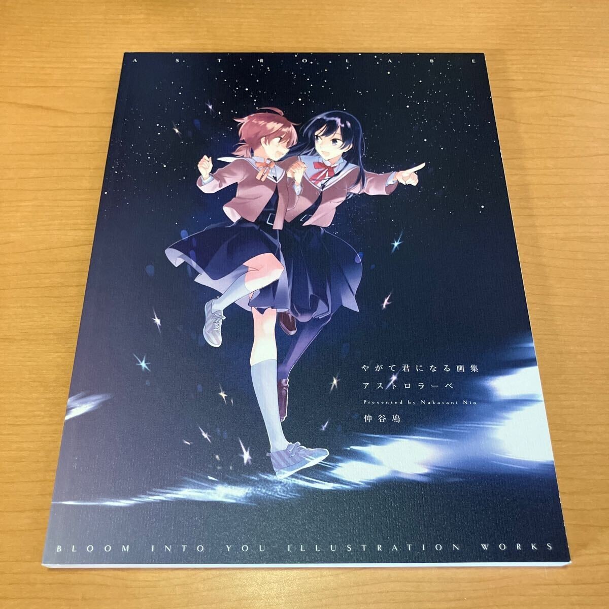 Bloom Into You Yagate Kimi ni Naru Art Book Astrolabe Japan Bloom Into You Yagate Kimi ni Naru Art Book Astrolabe Japan