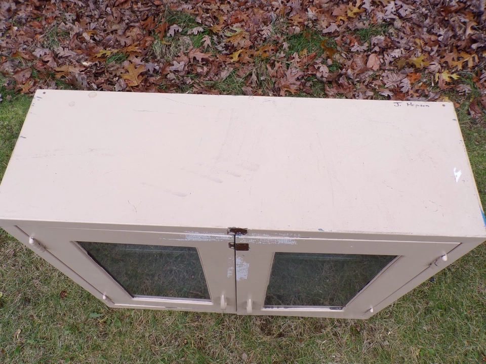 Gabinete de pared vintage de vidrio y metal para boticario dental de mediados de siglo  Foto 4 de 4