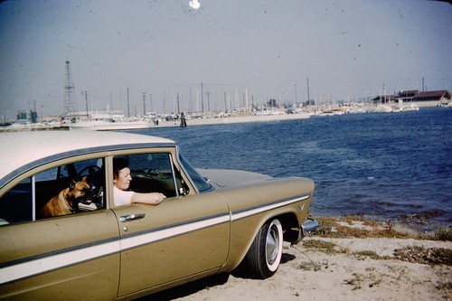 1950s Woman In Plymouth Car Red Border Kodachrome Slide AL-C