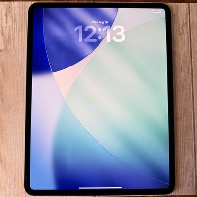 Apple iPad Pro 13-inch M4 256GB Wi-Fi/Cellular Unlocked Bh- 100% Gray Excellent 