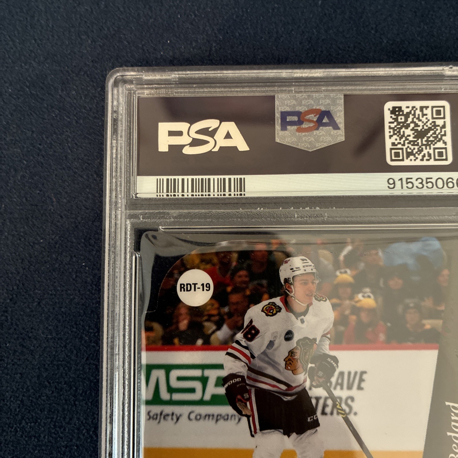 Connor Bedard RC 2023 Upper Deck PSA 10 Die-Cuts 1994-95 Rookie 🔥🔥 Invest view 10