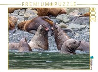 Calvendo Puzzle Sea Lions In A Group | 2000 Pieces, Finished Size 35.4 × 26.4 In