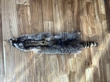 Raccoon Pelt Hide