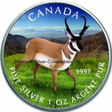 2013 Canada Wildlife Series  Pronghorn 1 Ounce .9999 Pure Silver Colorized Coin!