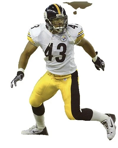 Troy Polamalu NFL Photos