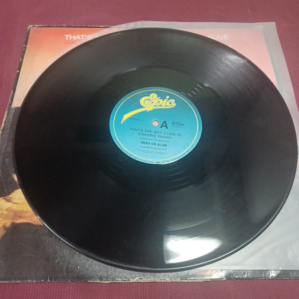 Dead Or Alive - Thats The Way ( I Like It)  U.K. Import - 12" Vinyl Extended Mix - Image 2 of 4