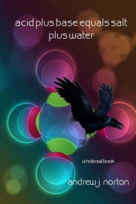 Norton - Acid Plus Base Equals Salt Plus Water - New paperback or soft - X555z